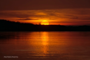 x-_DSC5611-topaz-denoiseraw-sharpenw_1024